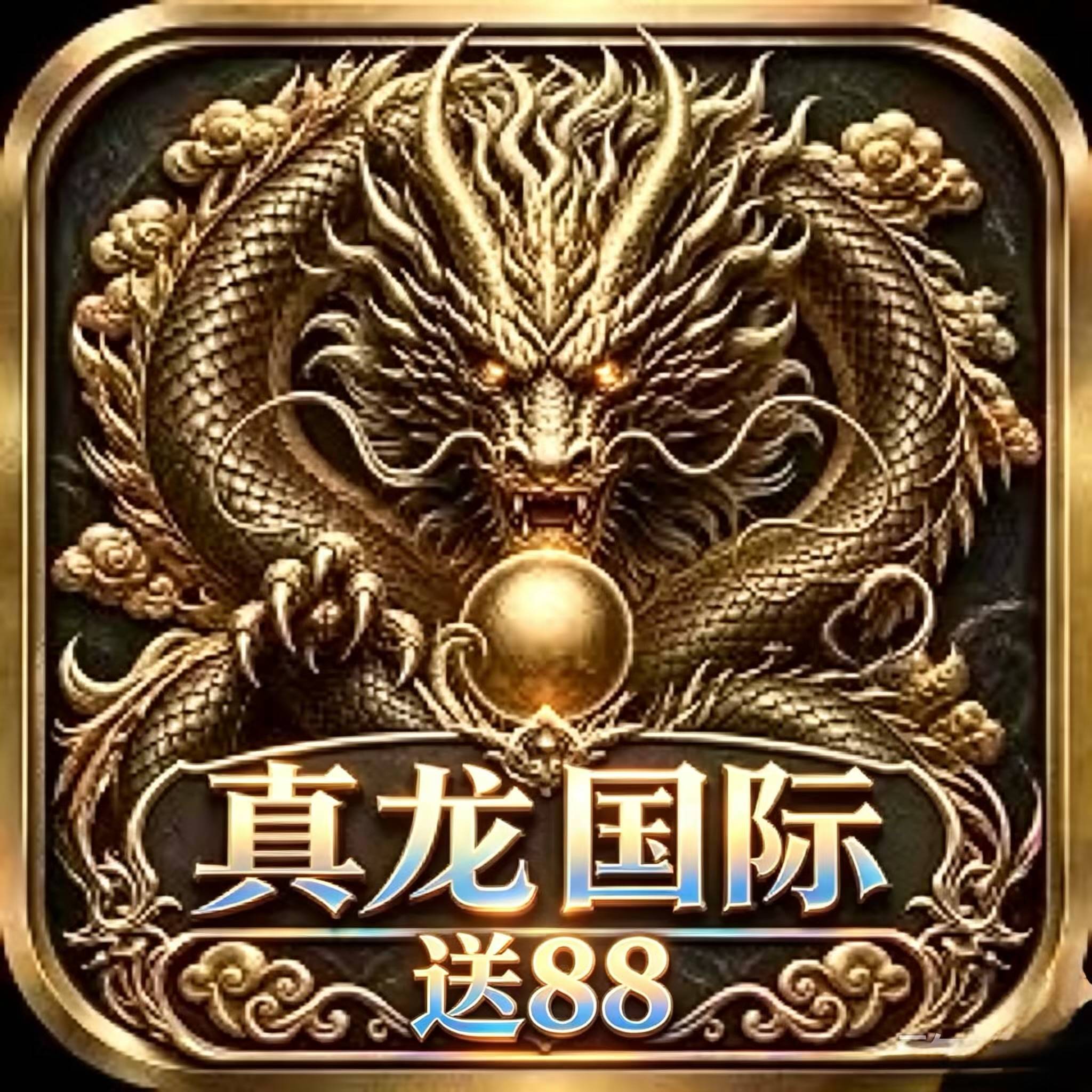 真龙国际·大💦
